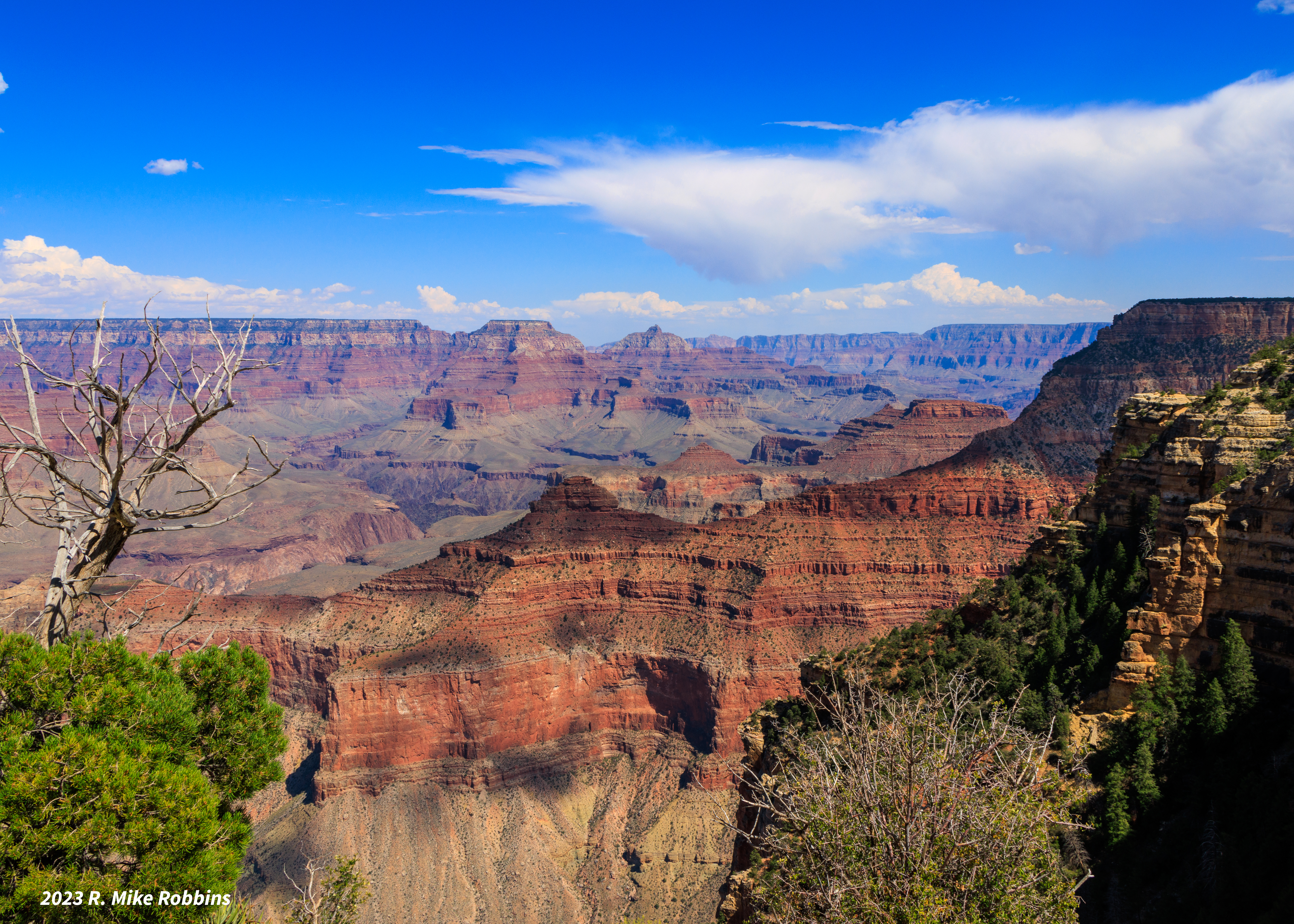 _R7_4199.jpg