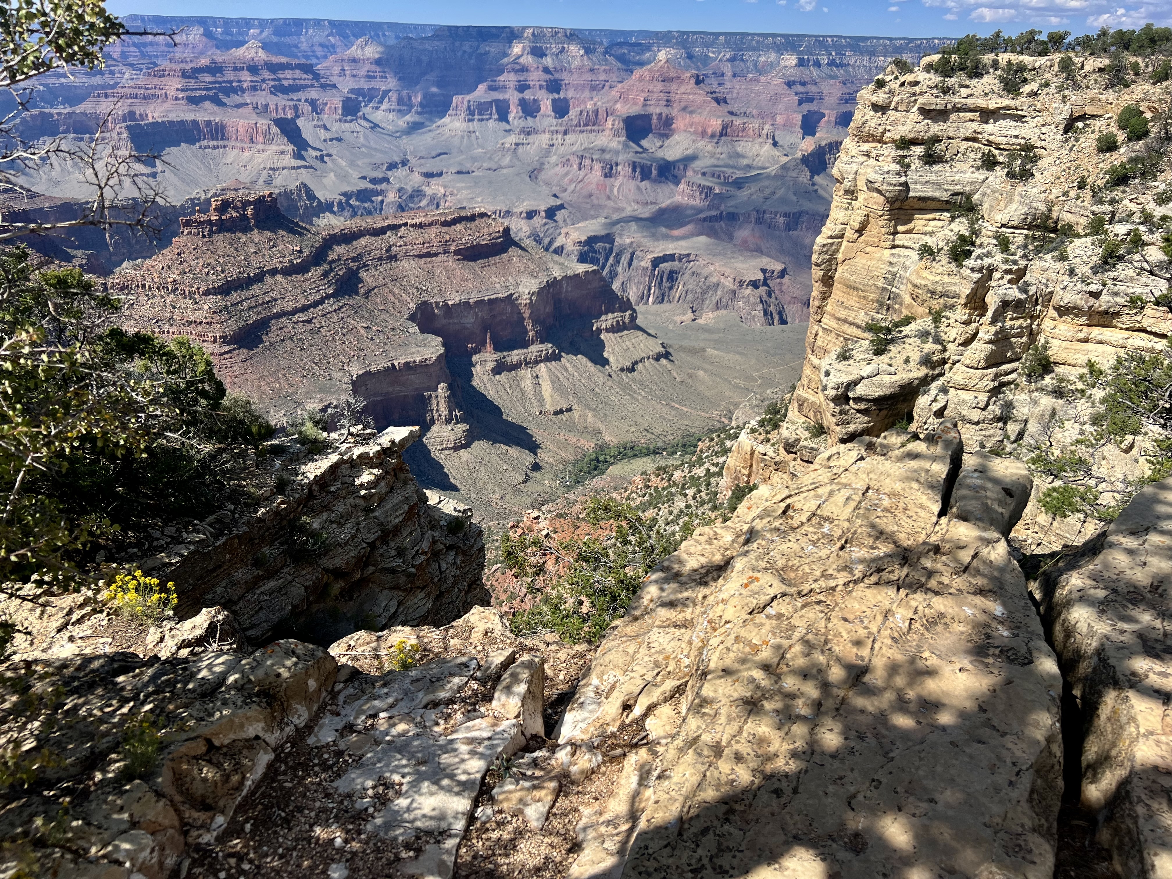 IMG_3735.jpeg