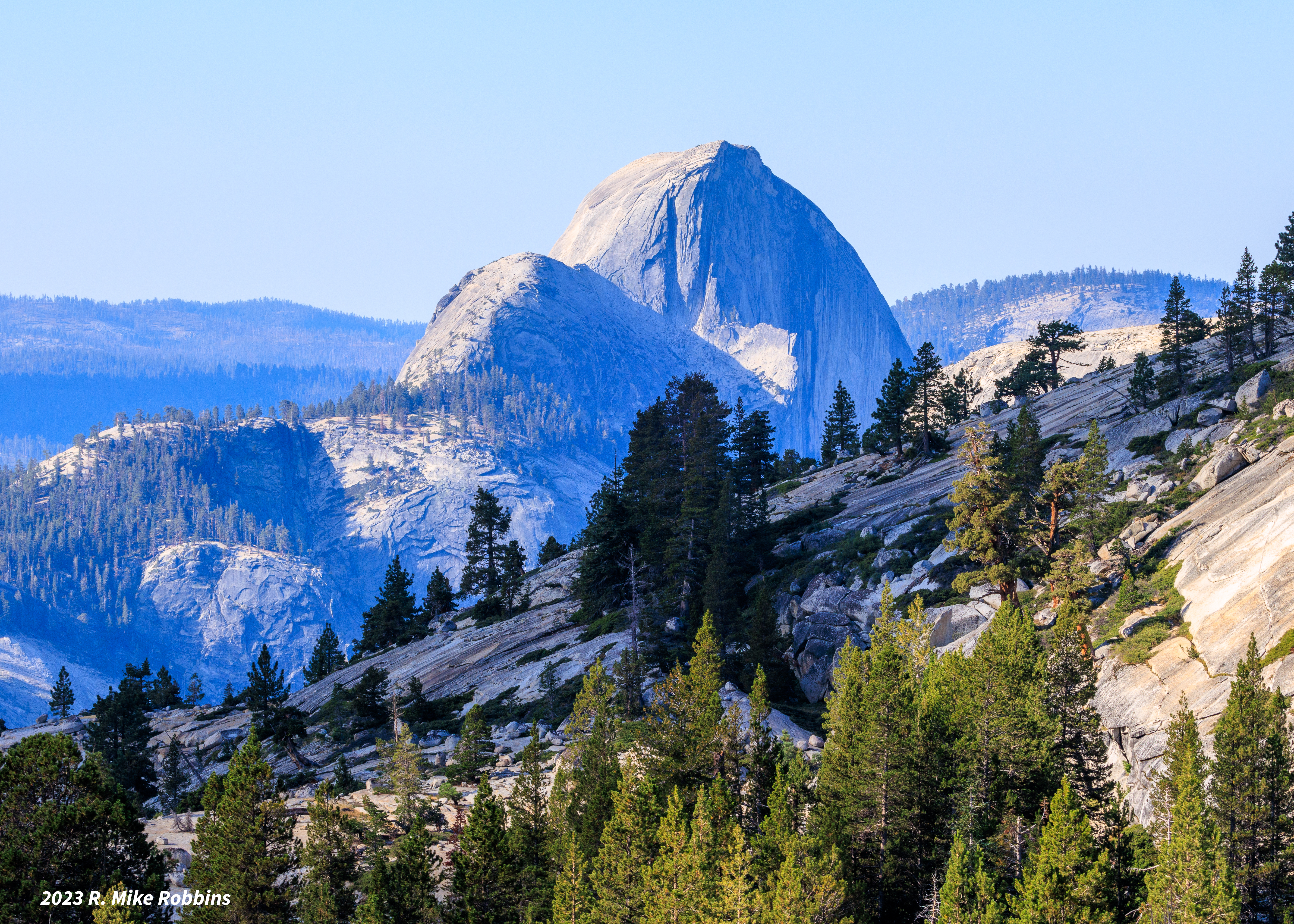 _R7_4584.jpg
