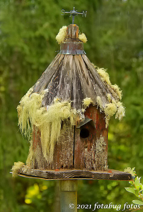 A Friend's Birdhouse