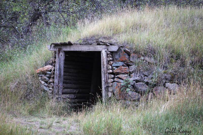 Farwell Canyon Root Cellar