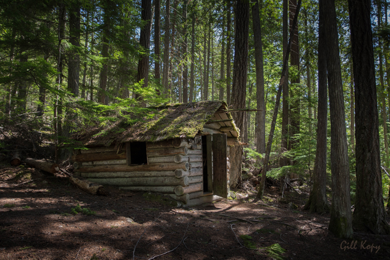 Mystic cabin