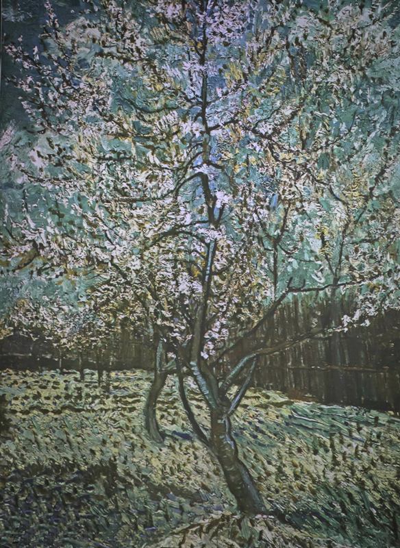 Van Gogh Exhibit6.jpg