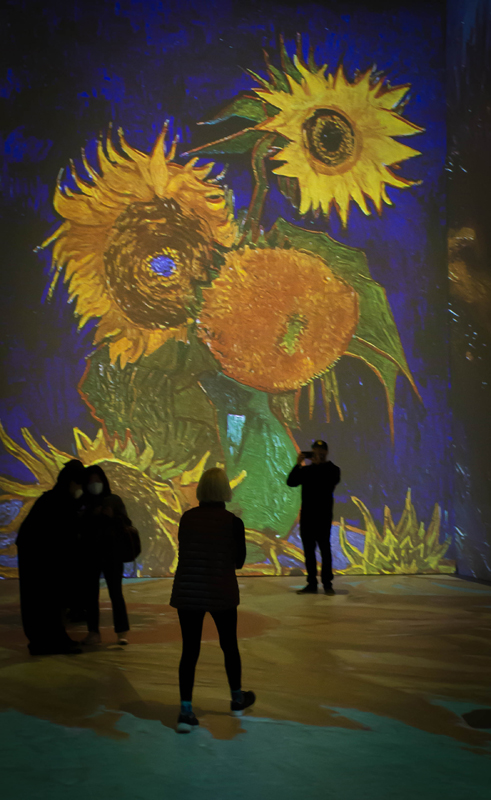 Van Gogh Exhibit12.jpg