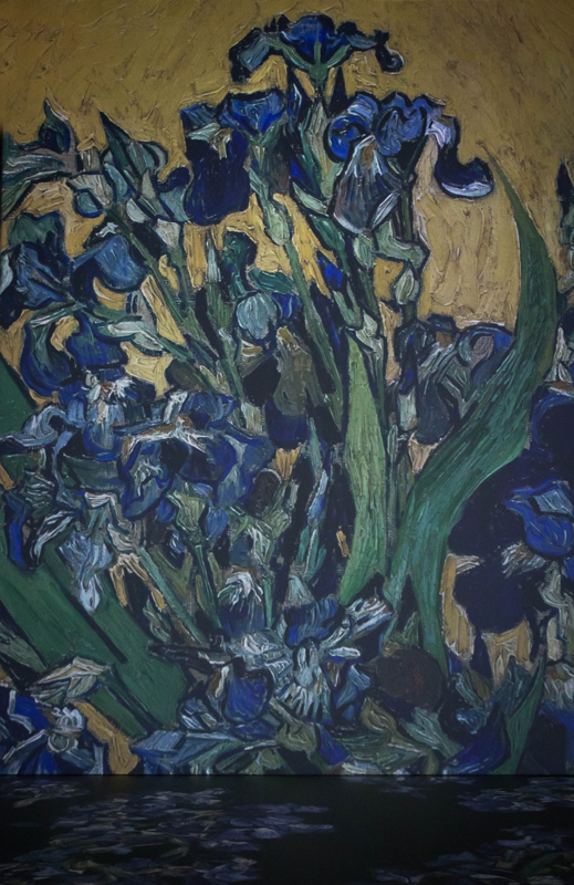Van Gogh Exhibit13.jpg