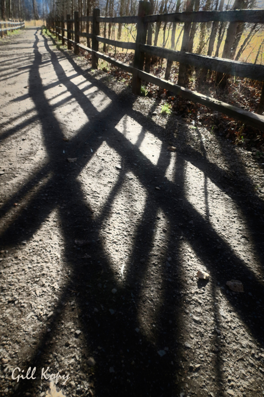Trail shadows