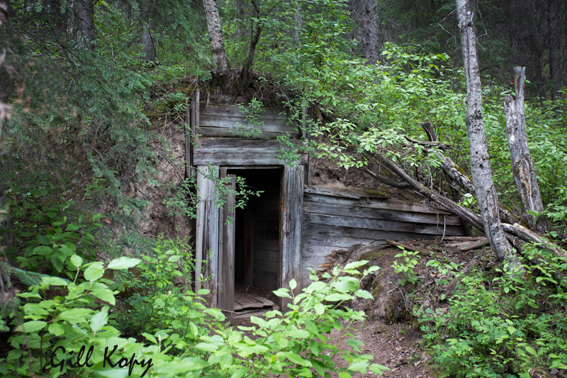 Miner's Cabin