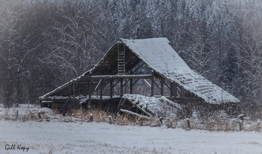 Mabel Lk Barn