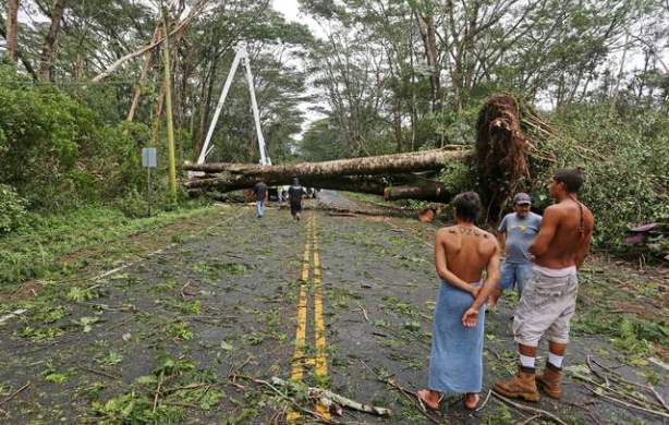 aftermath hurricane isela