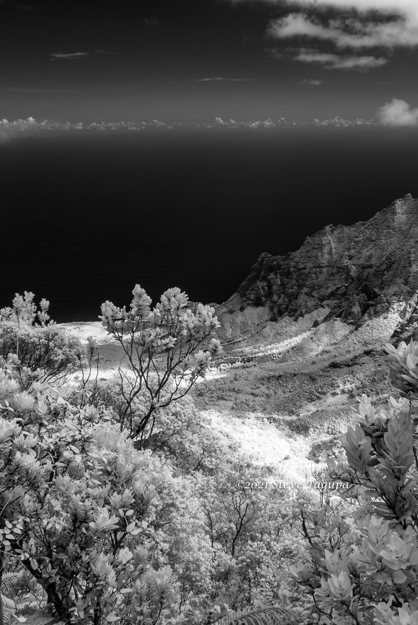 20190609-095226-IMGP0033.JPG