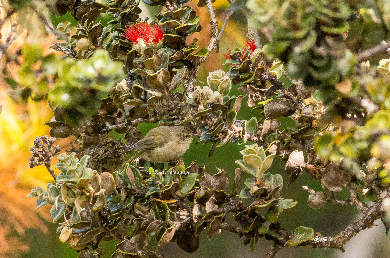 20141007-094208-K52S0657.JPG