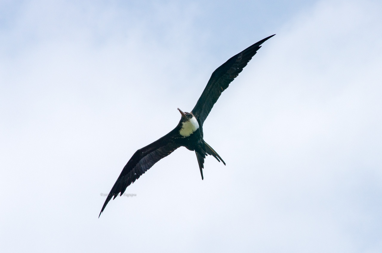 20180616-120024-K52C0098.JPG