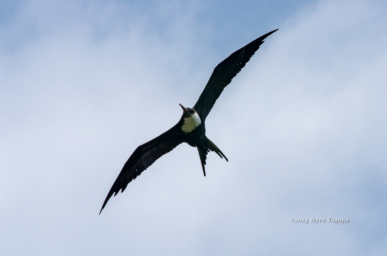 20180616-120024-K52C0098.JPG