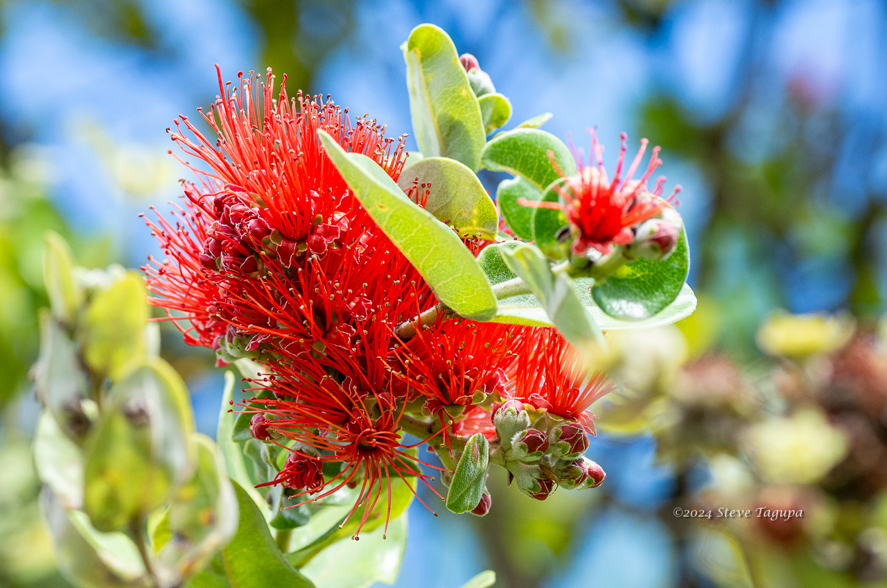 20190714-142858-K52B0011.JPG
