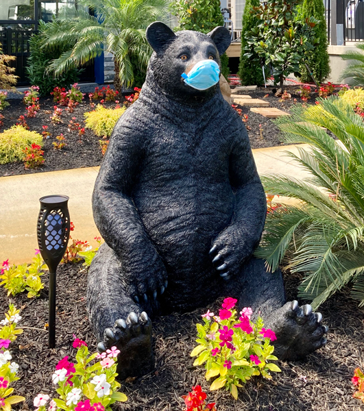 Mr Black Bear Anonymous