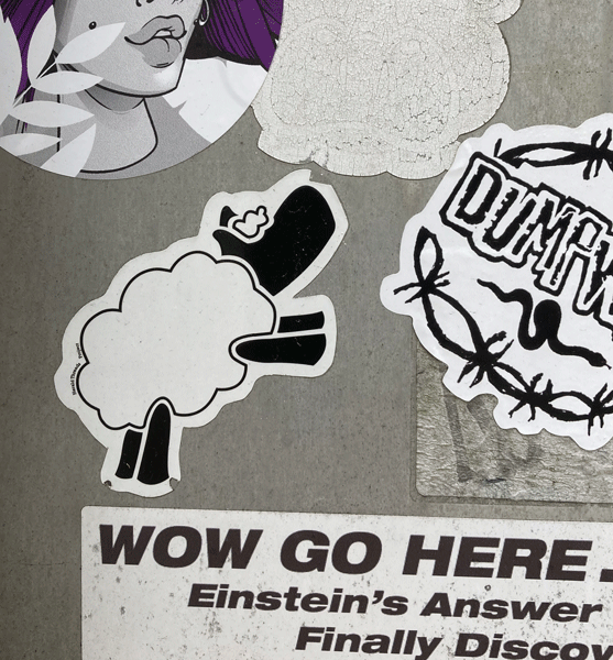 Sheep slap