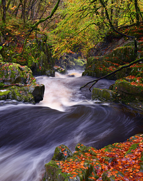 DSC_9667_edit1_pbase.jpg