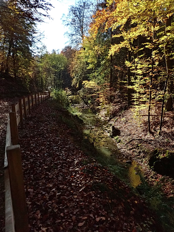 Fall at the small river
