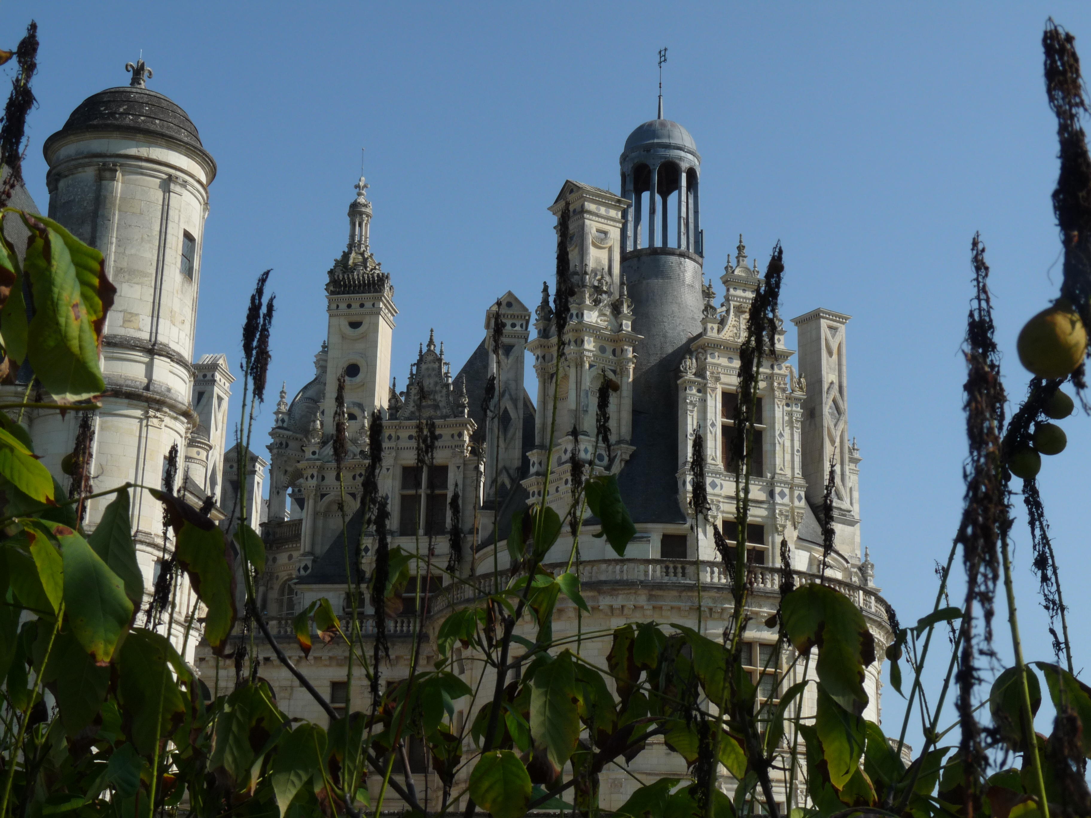 renaissance splendour