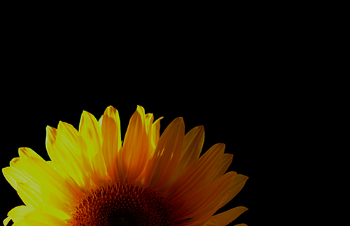 september_2019