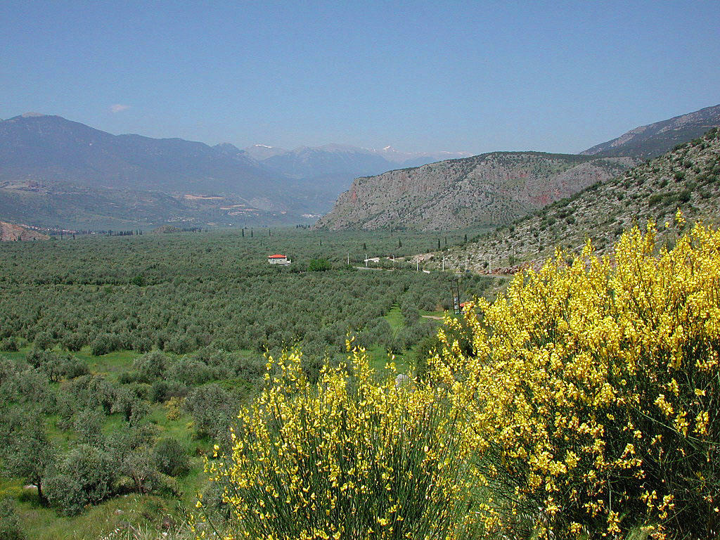 near Delphi