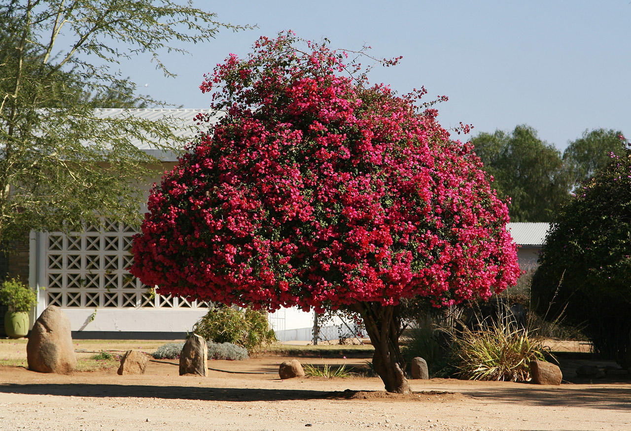 in Okahandja