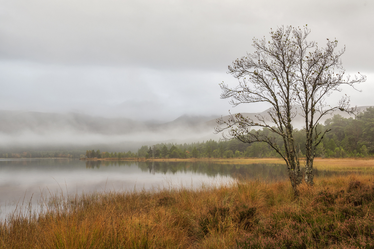 Loch Morlich