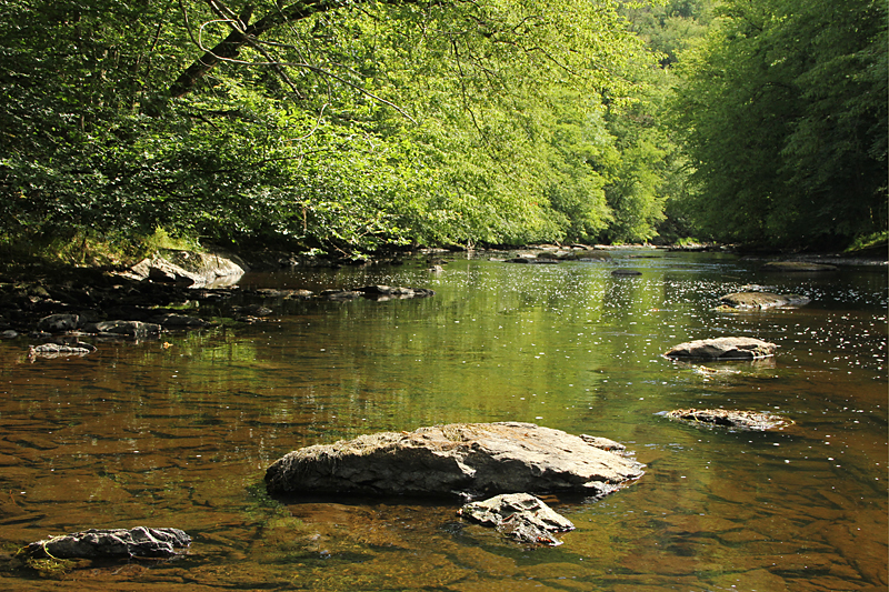 Ourthe