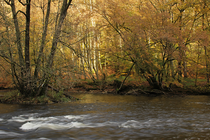 Ourthe