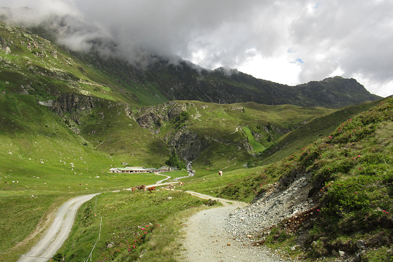Verbellaalpe