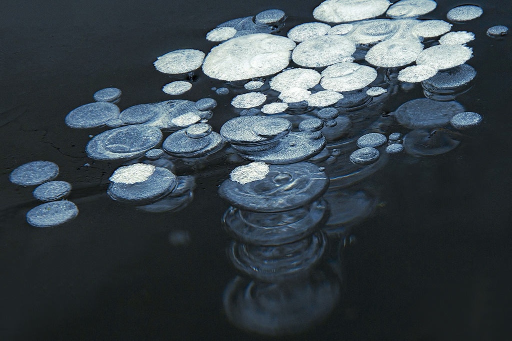 coins in the ice. 