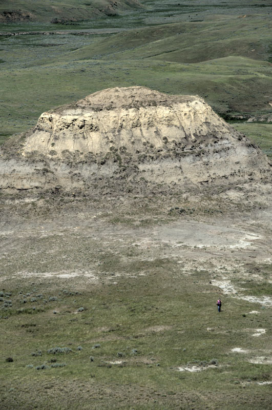 Grass Lands East Block