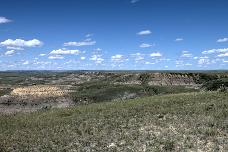 Grass Lands East Block