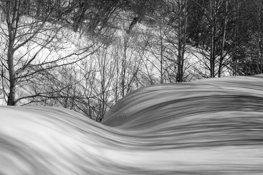 IMGP7043bw.jpg