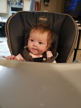 High Chair Test Drive
