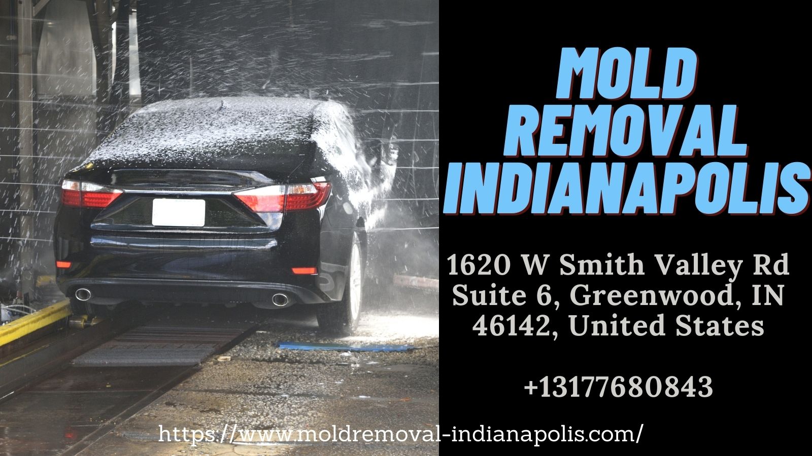 Mold Removal Indianapolis Car mold removal