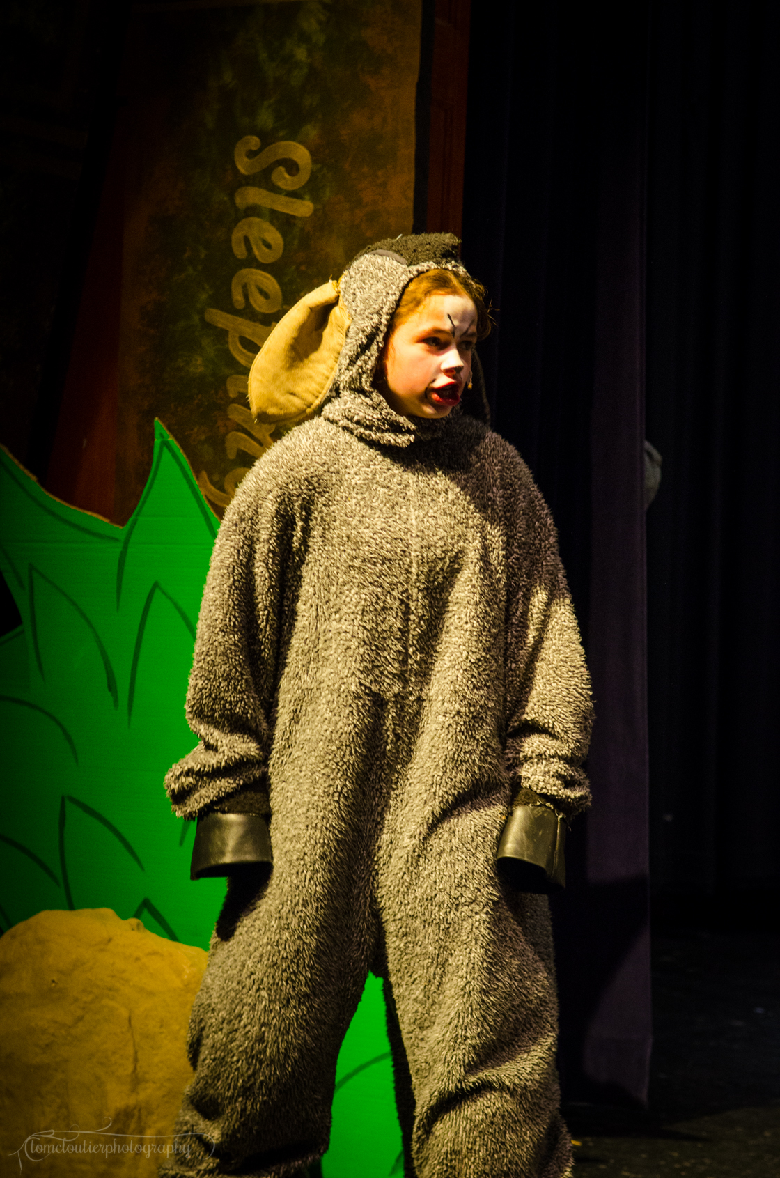 FLMS-Shrek25-420.JPG