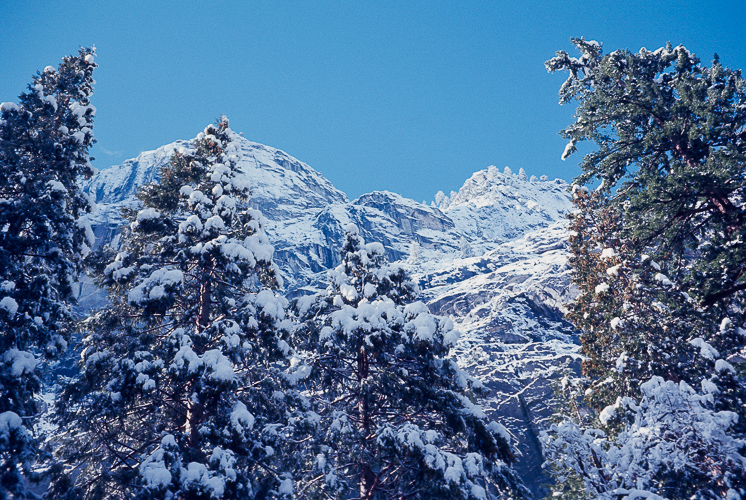 Winter Snowfall
