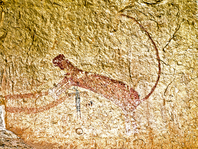 Panther in Panther cave #1