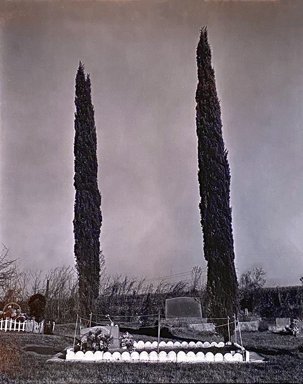 Two trees and grave site 