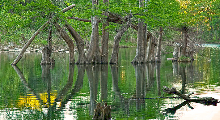 Cypress reflections on Blanco River