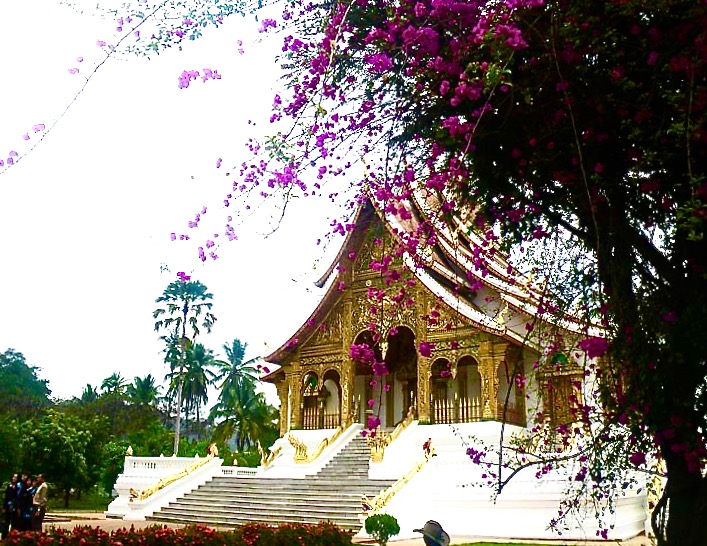  Ho Pra Bang Blossom, Luang Prabang.