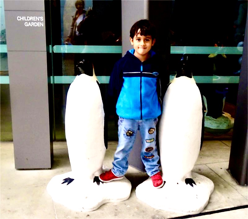 Life size model Emperor Penguins