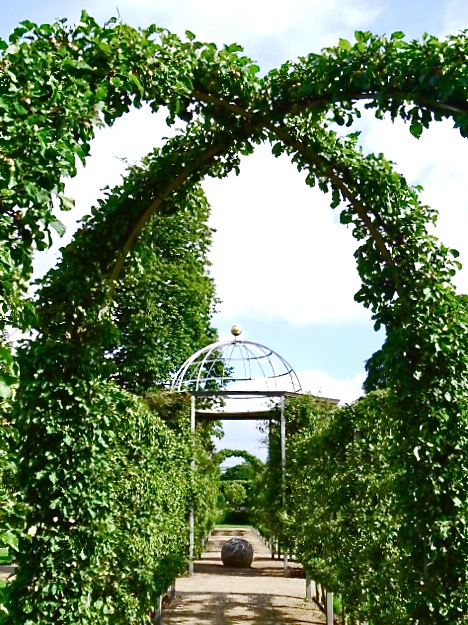 Kings Garden, masses of espaliered Apple Blossom