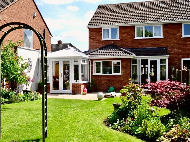 Our back garden