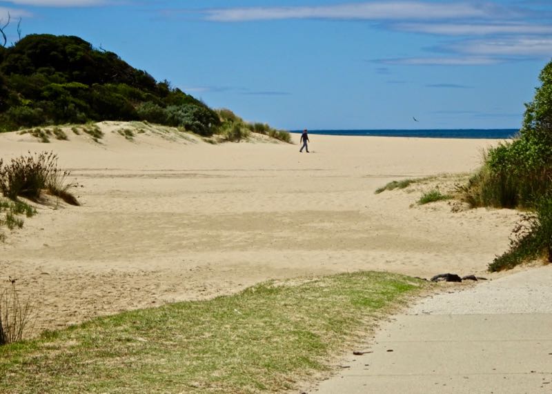 The Anglesea surf beach lies beyond the sand dunes