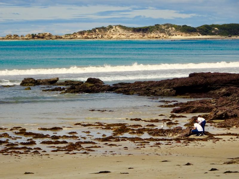 Approaching Apollo Bay