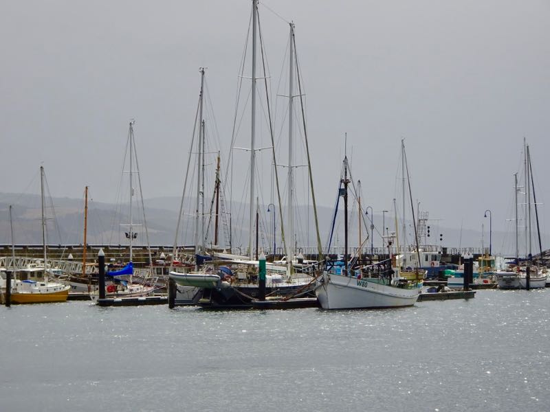 Fishing harbour at Apollo Bay