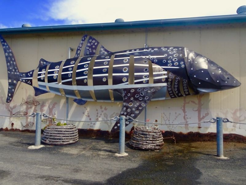 Decor on the Fishing Co-op, Apollo Bay