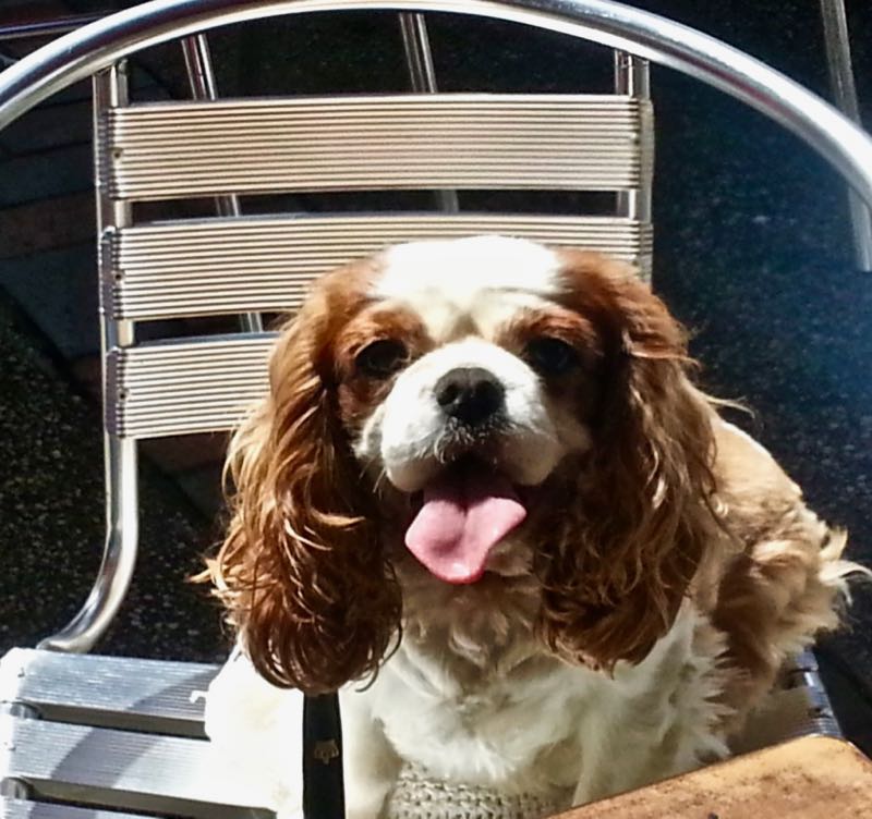 Evie sits outside at a cafe in Lorne